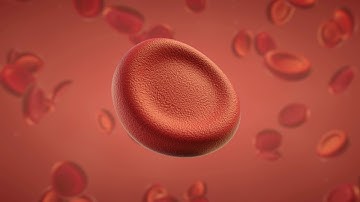 SEED -Software for the Extraction of Equations from Data