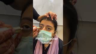 EyelinerTutorial #MakeupTips #BeautyTips #ParlorWork #MakeupLearning #UrduTutorial #BeautyVideo