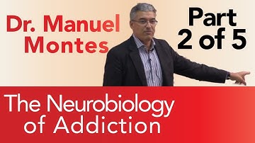Dr. Montes: Neurobiology of Addiction Part 2 of 5 | The Treatment Center