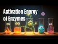 The Role of Enzymes in Lowering Activation Energy and Enhancing Reactions