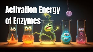 √ Activation Energy of Enzymes | Biology | iitutor