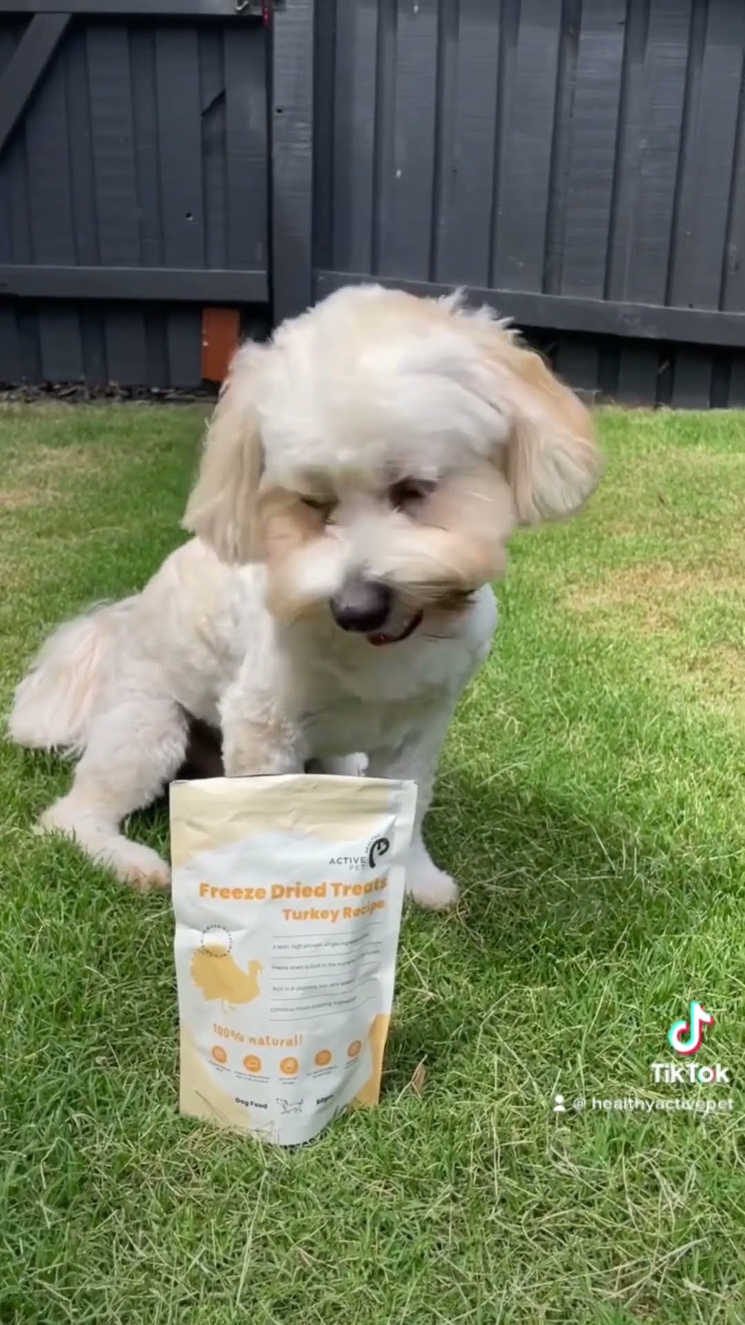 Perfect Treat For Dogs With Chicken Allergies YouTube Perfect Treat For Dogs With Chicken Allergies YouTube