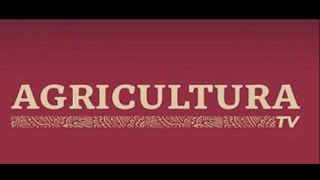 Agricultura TV 430