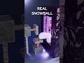 Minecraft Snowball Vs Real Life in the Nether Portal 🥶🥶