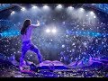 Steve Aoki Live At Tomorrowland 2017