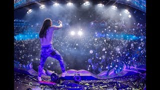 Steve Aoki Live At Tomorrowland 2017