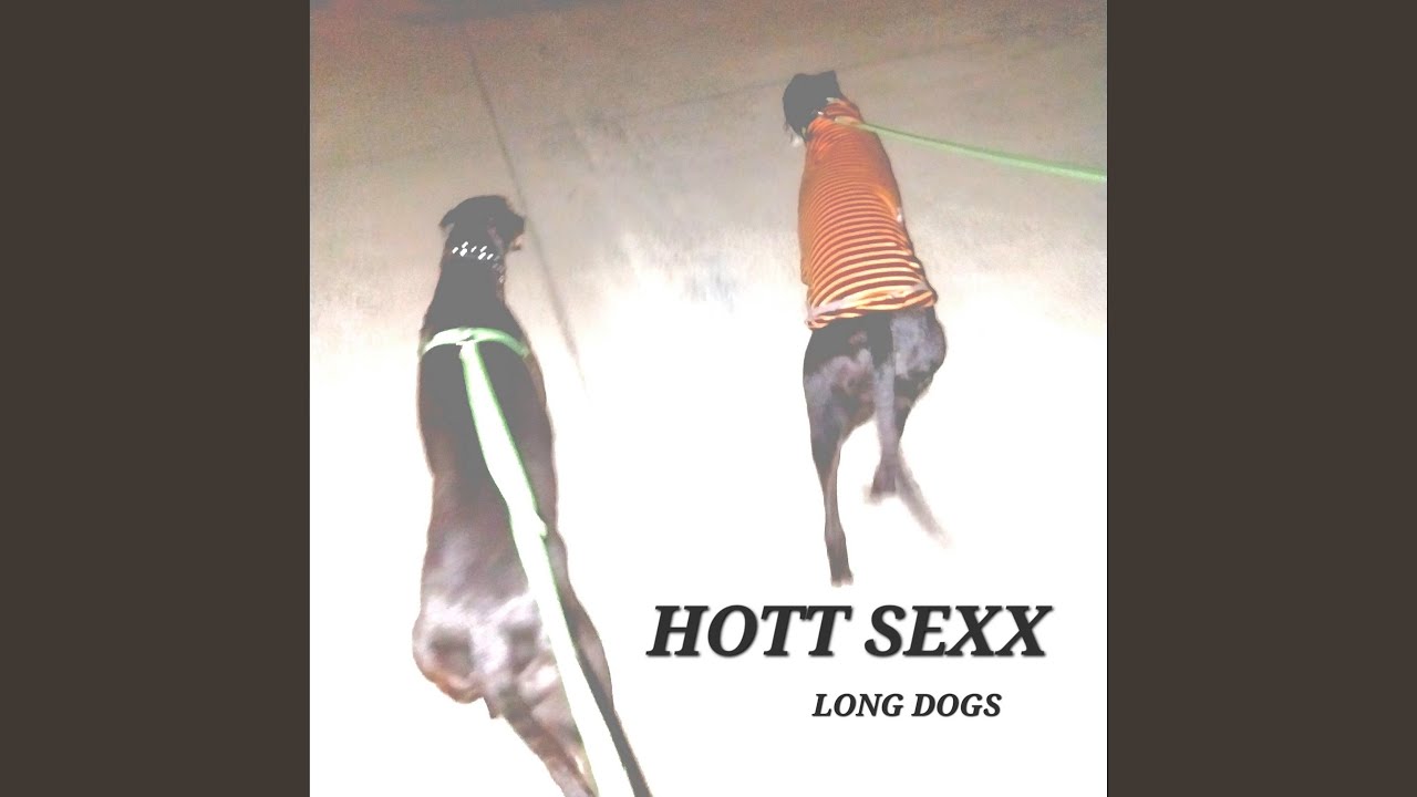 Long Dogs - Hott Sexx: Song Lyrics, Music Videos & Concerts