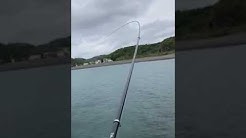 Tsuttarou Wakayama Japan Youtube
