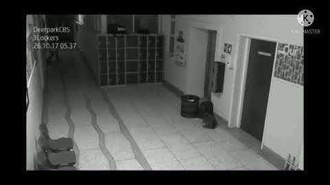 Hlauhawm leh rapthlak || camera lak fuh || #hlauhawm