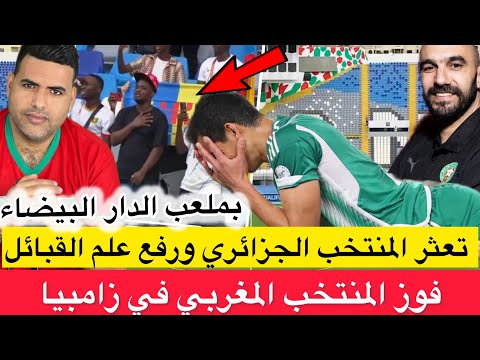 ضجة بعد تعثر منتخب الجزائر في المغرب ورفع علم القبائل في المدرجات فوز المنتخب المغربي على زامبيا 