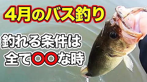 バスは何故ハードボトムを好むのか 釣果アップの基本 Mp3
