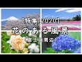 2020年 [特集] 花のある風景（富士山周辺） [4K] Scenery with flowers 2020 / Mt. Fuji area