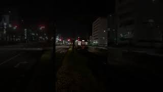 阪堺電車モ161形166号浜寺駅前行き発車シーン