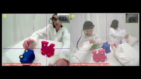 Child parent toy play experimental paradigm with dual eye-tracking