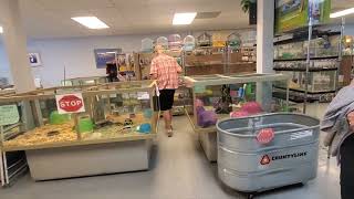 Exotic animals store in Pensacola FL March 2022