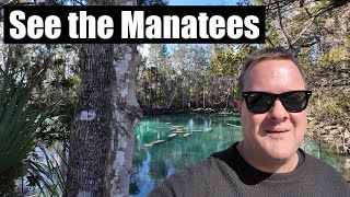 Manatees at Three Sisters Springs | Crystal River Florida