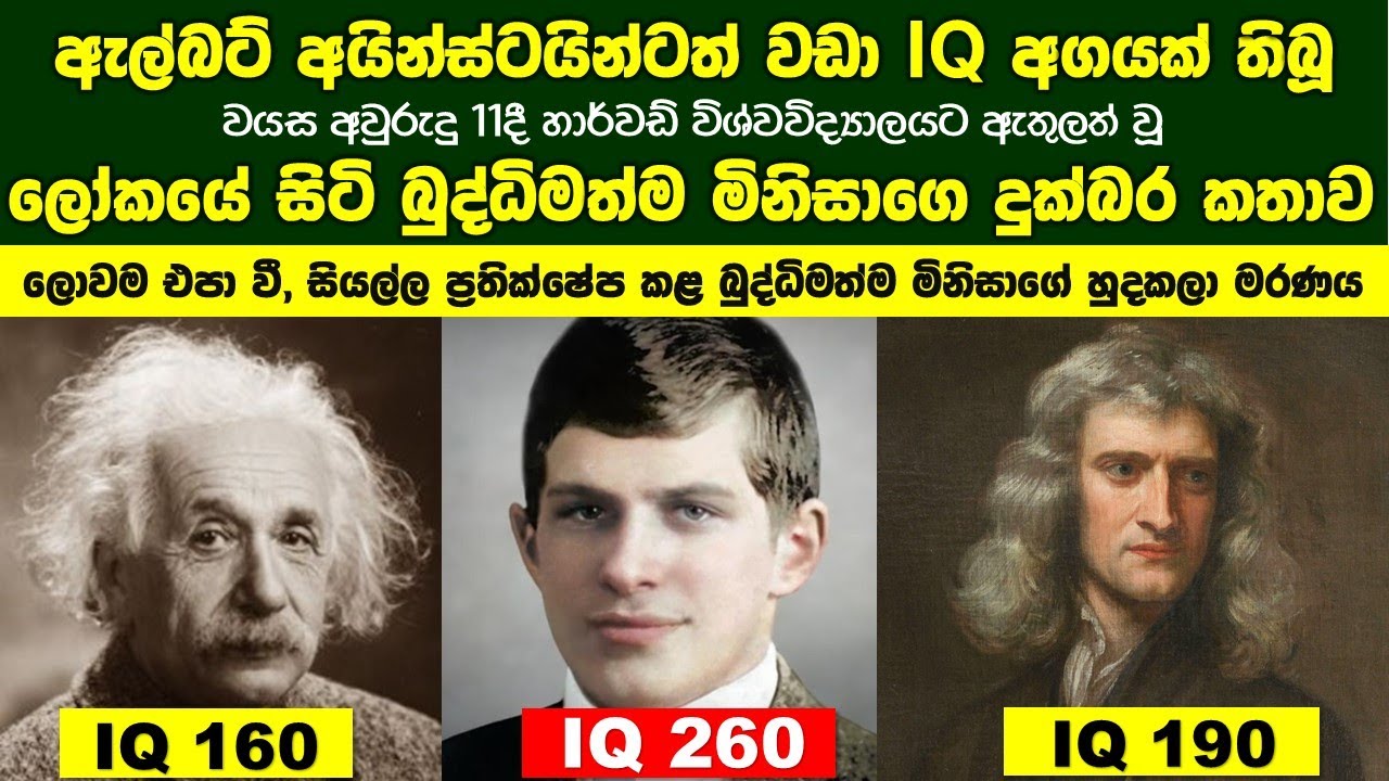 ඇල්බට් අයින්ස්ටයින්ටත් වඩා IQ අගයක් තිබූ වයස අවුරුදු 11දී හාවඩ් ගිය ලෝකයේ බුද්ධිමත්ම මිනිසාගෙ කතාව
