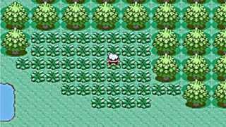 Where To Catch Wobbuffet In Pokemon Emerald, Ruby, Sapphire