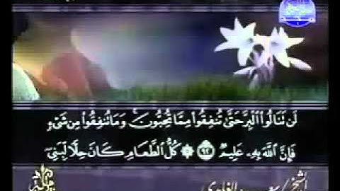 سورة آل عمران من الآية 81  الى الآية 100
