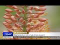 UK's first dedicated gardening science hub opens in full bloom