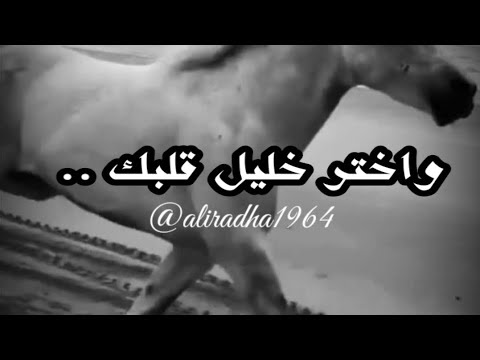 واختر خليل قلبك بحكمة