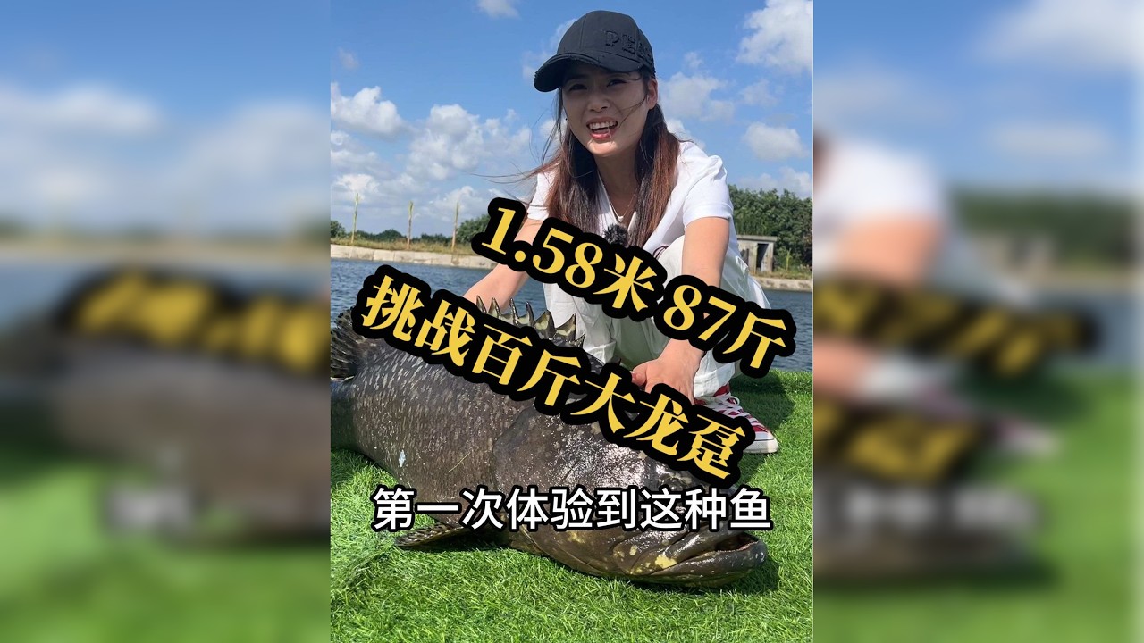 小个子，连杆大龙趸是种什么体验？