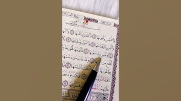 سورة الشمس... الشيخ علاء عقل. #quran #قرآن #تلاوة_خاشعة #القرآن #سورة_الشمس #fyp #subscribe