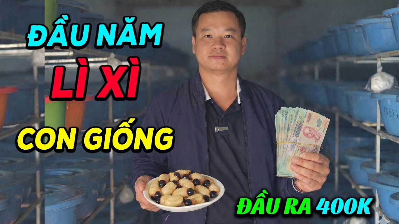 Chơi Lớn Đầu Năm: Tặng Giống, Bao Ăn Ở Học Nghề - Ai Muốn Làm Giàu Từ Đuông Dừa Thì Xem Ngay!