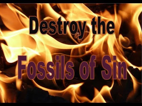 Video: Fossilized Because Of God's Punishment - Alternative View