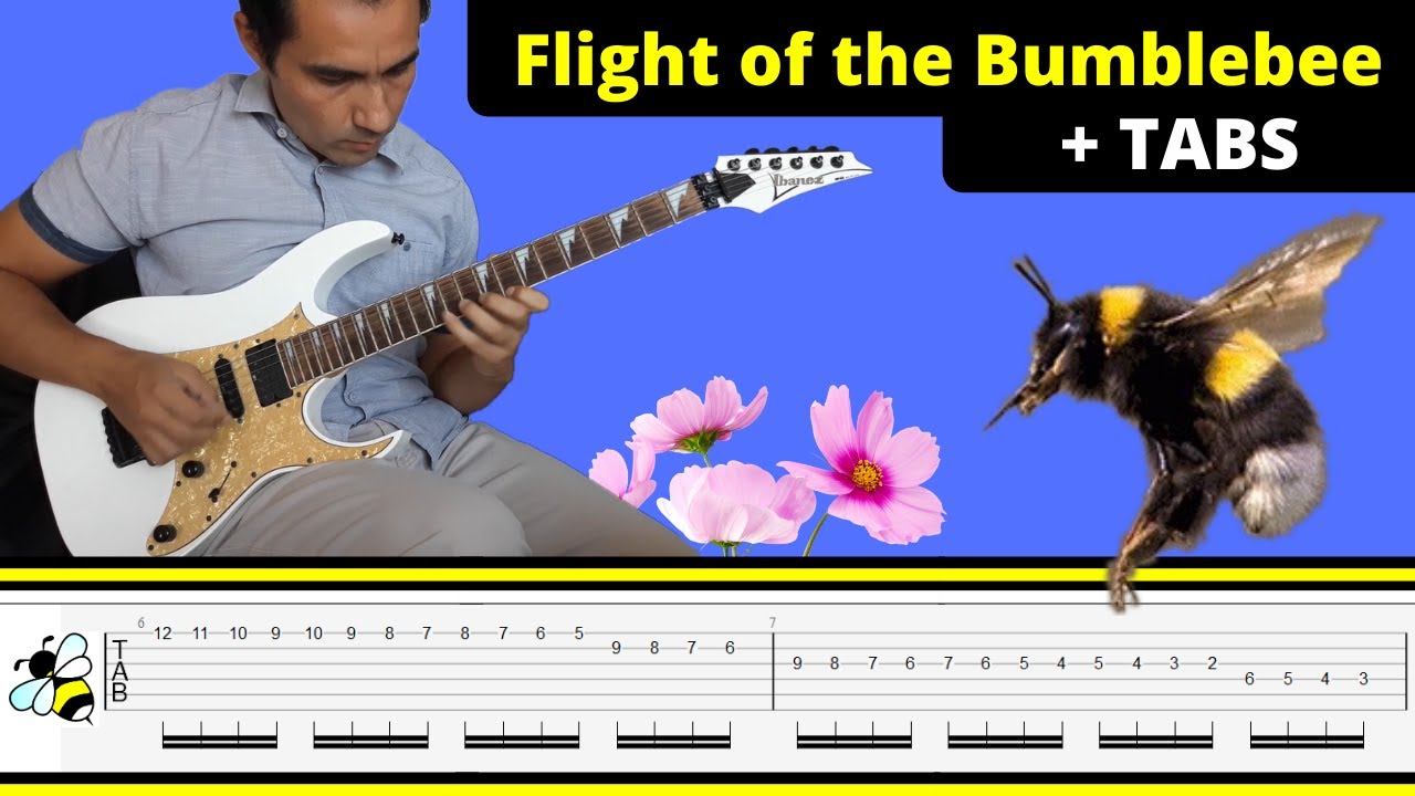 Flight of the Bumblebee + Guitar Tab (RimskyKorsakov) Guitar