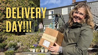 The Greenhouse is Here! Plus, Unboxing &amp; Planting Bare Root Roses