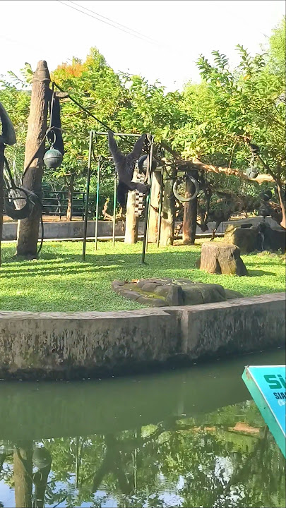 Download lagu haaahh kaburrrr 🤭🤭😲😂#seru#shortvideo