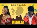 Nolly M Memeza feat Musiholiq (Visualizer)