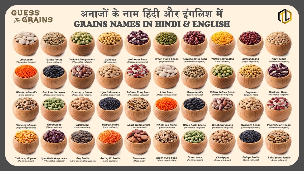 food grains essay in hindi