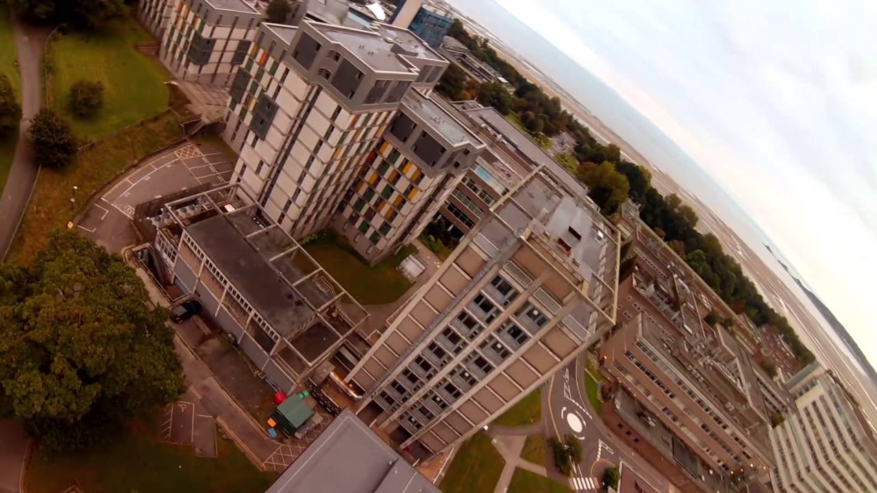 Thug Frames ThigPig- Singleton Park
