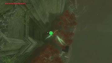 [DAY 551] of finding one korok seed everyday until Botw2 comes out