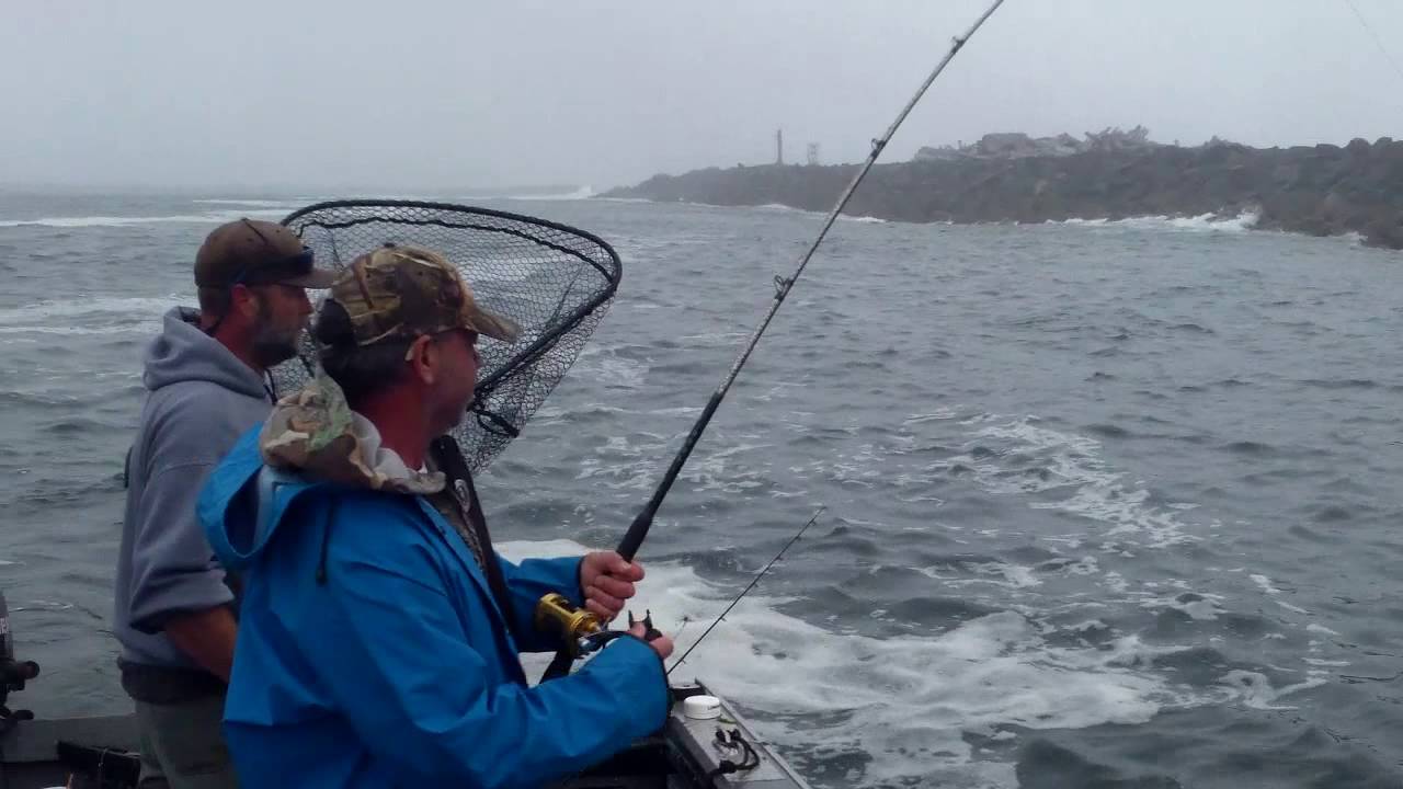 Salmon Fishing in Florence YouTube