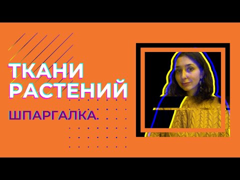 Ткани растений — шпаргалка. ЦТ, ЕГЭ, ЗНО