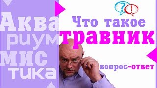 Аквариумистика. Основные понятия. Что такое травник. Аквариумистика. Основные понятия. Что такое травник.