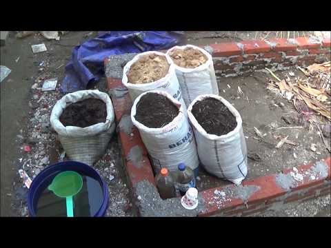 Video: Memupuk Kebun Dengan Kotoran Arnab