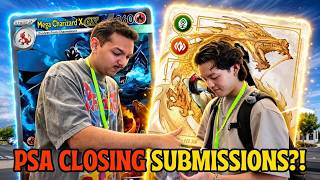 The REALITY of Selling Trading Cards FULL TIME...