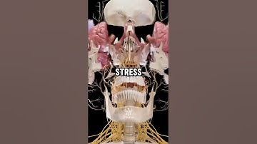 When to Take 5 Powerful Supplements for Maximum Effect 💊⚡