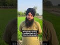 #punjab #haryana #sangrur #pesticides #paddy #makki #jalandhar #sangrur #mohali #karanaujla