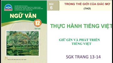 Ngữ văn 12: ctst: Bài 6: THỰC HÀNH TIẾNG VIỆT: GIỮ GÌN VÀ PHÁT TRIỂN TIẾNG VIỆT