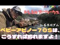 【ニシネルアーワークス・ベビーアビノー７０S】こうすれば釣れますよ！　愛媛県・石手川ダム　フローター　11月上旬
