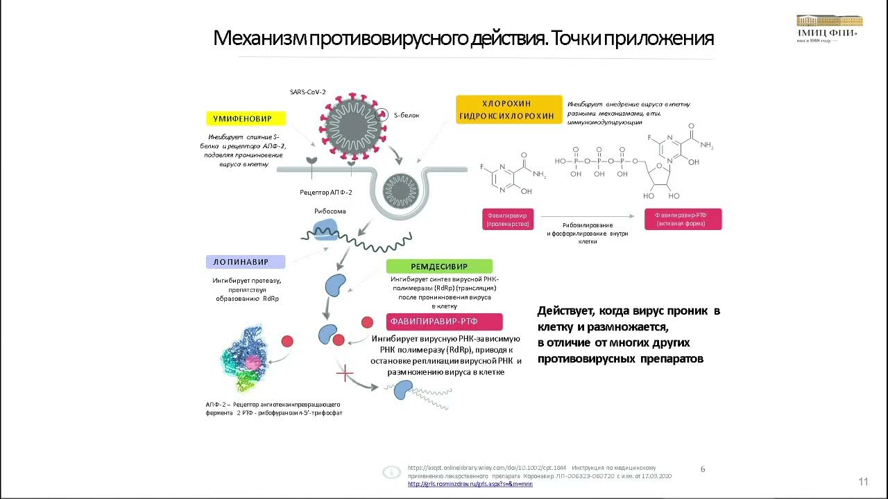 Коронавирус методические. Инвазивные микозы временные методические рекомендации. Временные рекомендации по коронавирусной инфекции версия 18. Клиника НМИЦ ФПИ схема.