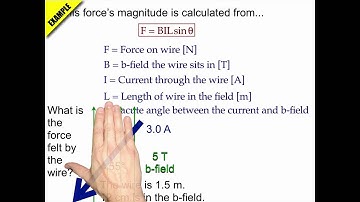 Magnetic Force Example