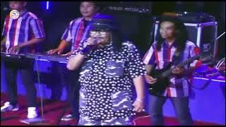 Jhoni Iskandar ft New Pallapa - Ada Nggak Ada