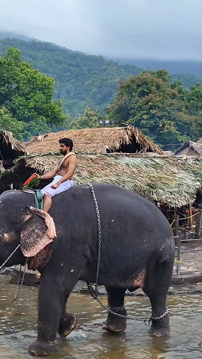 ദക്ഷിണ കാശി ശ്രീ കൊട്ടിയൂർ 🙏വൈശാഖ മഹോത്സവം 🙏