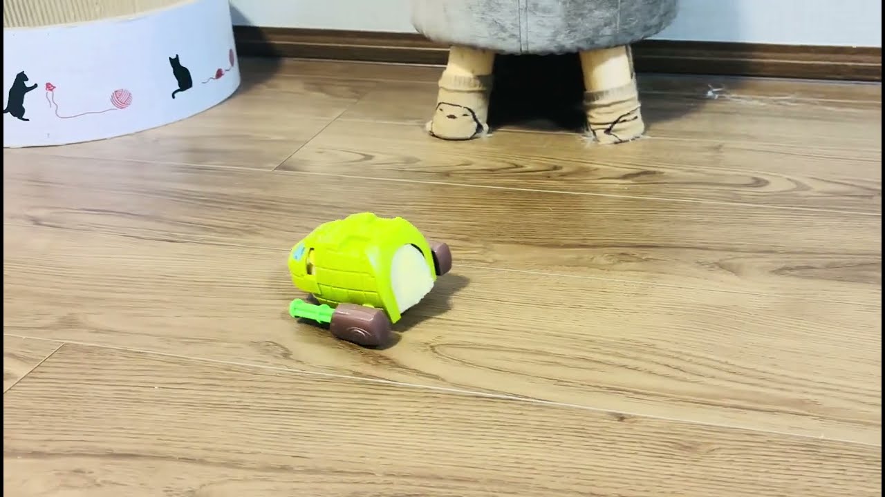 カン・ズー バトルアーマー スペシャルフォース サージ軍曹 / アン